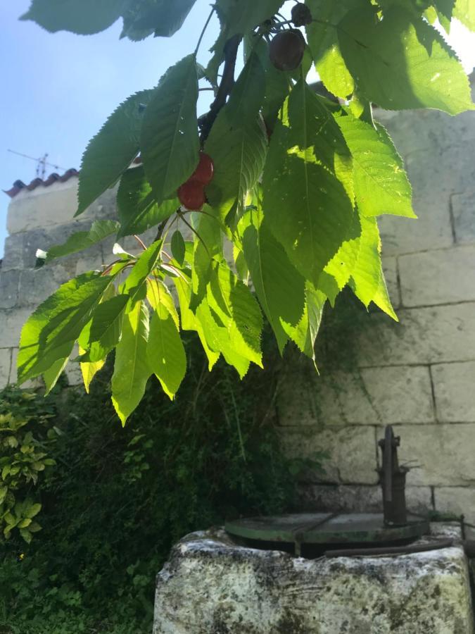 Chambres D'Hotes - Les Bujours Saint-Georges-des-Côteaux Esterno foto